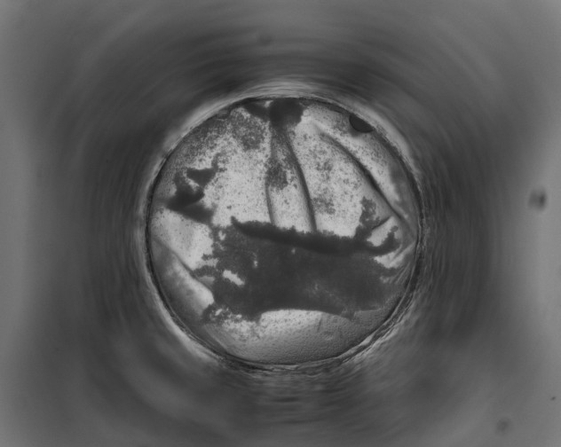 X0000099991429200806201438