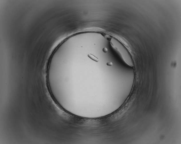 X0000099991430200806201439