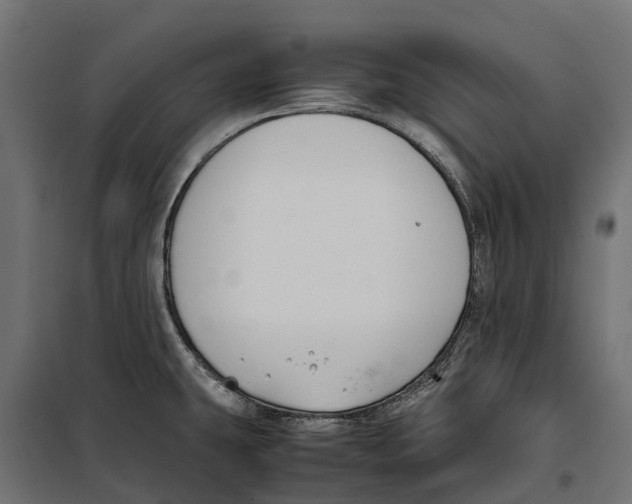 X0000099991431200806201439