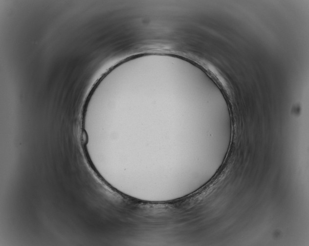 X0000099991432200806201439