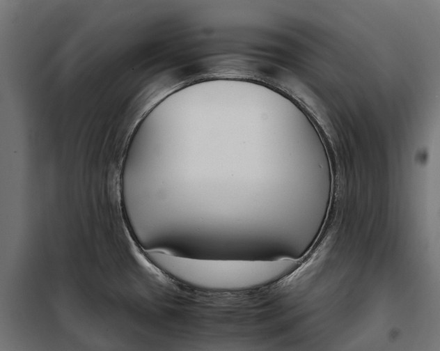 X0000099991433200806201439