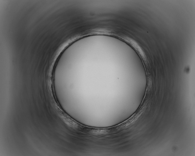 X0000099991435200806201439