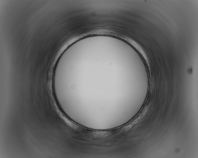 X0000099991437200806201439