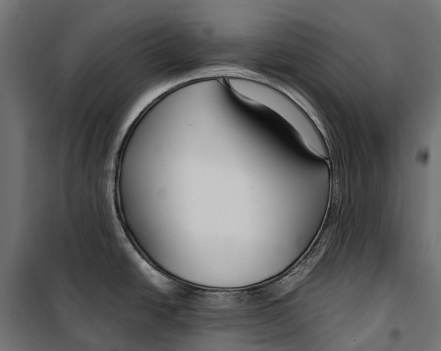 X0000099991438200806201439