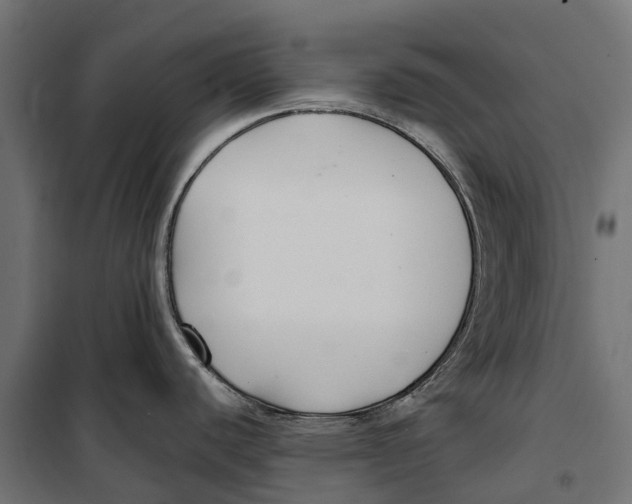 X0000099991440200806201439