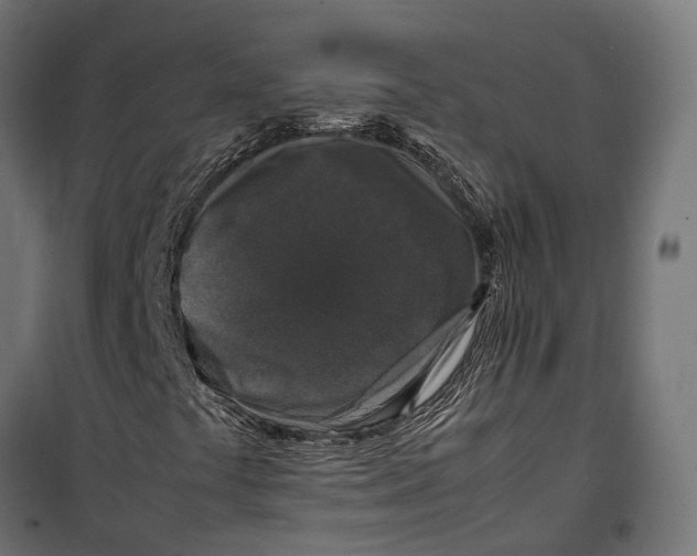 X0000099991441200806201438