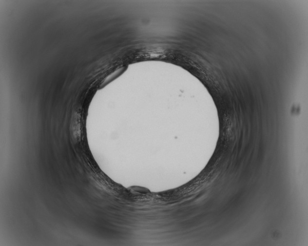 X0000099991442200806201438