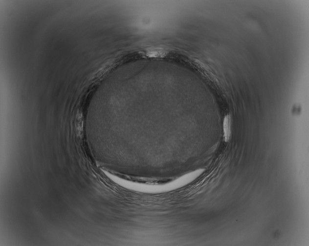 X0000099991443200806201438