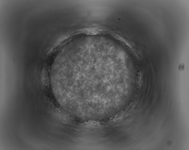 X0000099991446200806201438