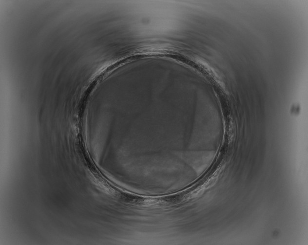 X0000099991449200806201438