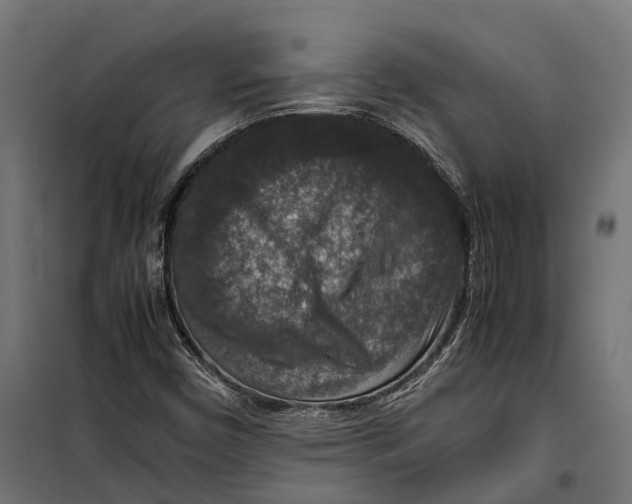 X0000099991450200806201438