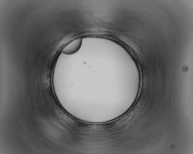 X0000099991451200806201438