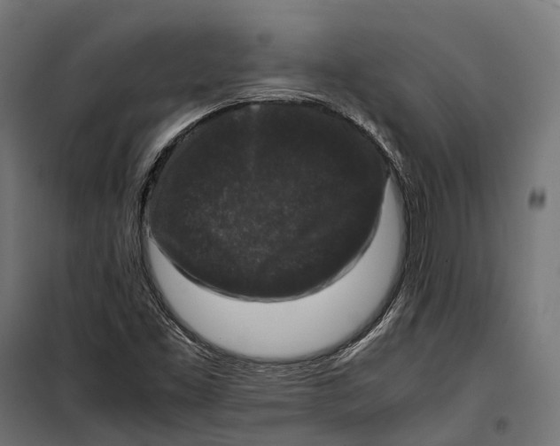 X0000099991453200806201438