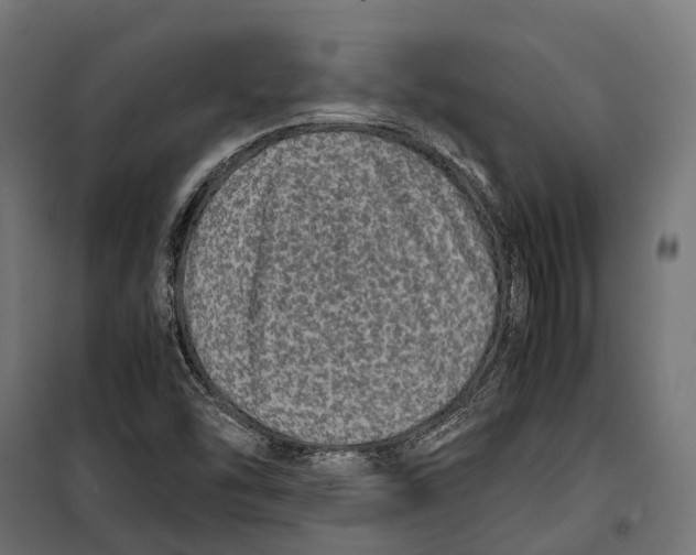 X0000099991454200806201438