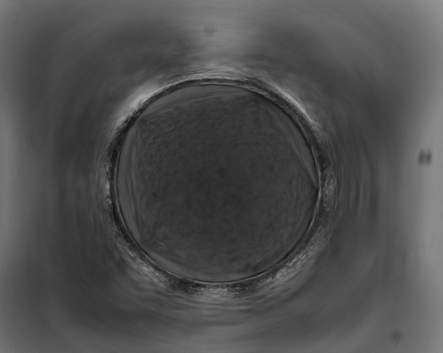 X0000099991455200806201438