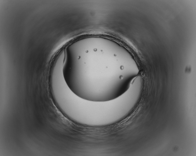 X0000099991456200806201438