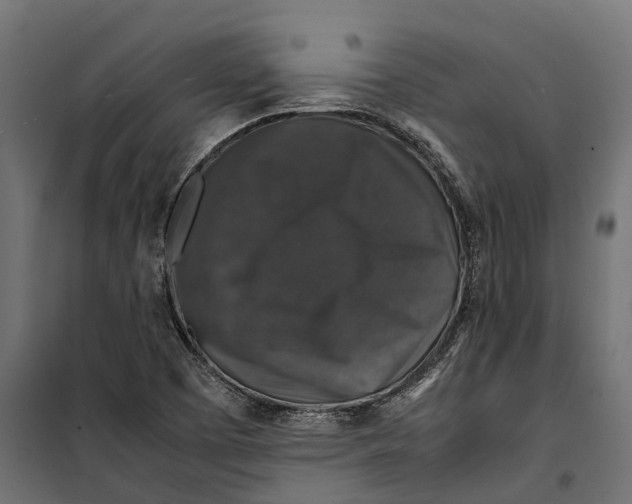 X0000099991457200806201438