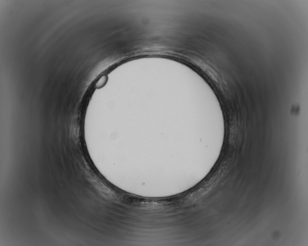 X0000099991458200806201438