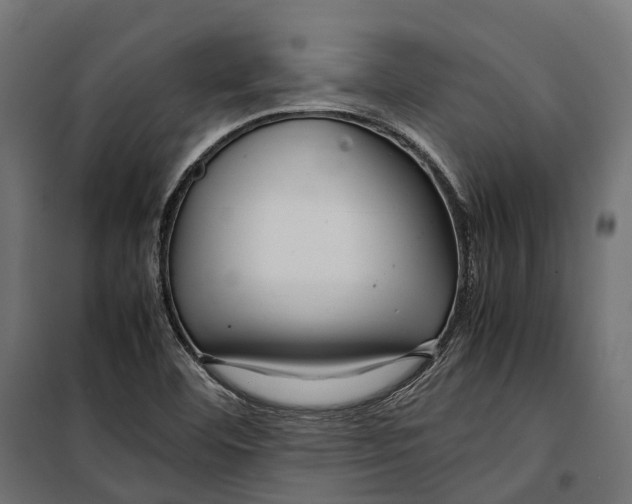 X0000099991460200806201438