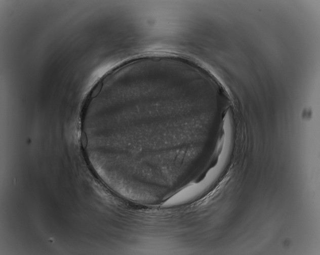 X0000099991461200806201438