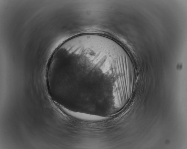 X0000099991463200806201438