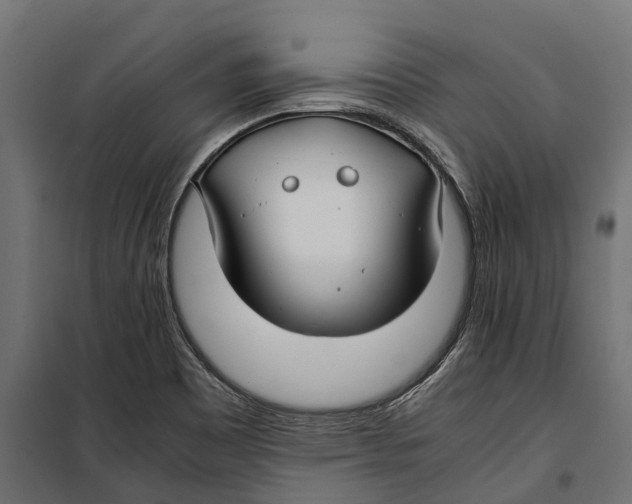 X0000099991465200806201438