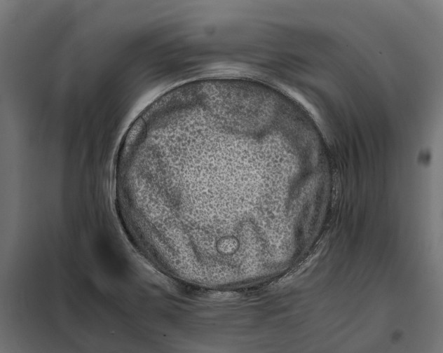 X0000099991467200806201438