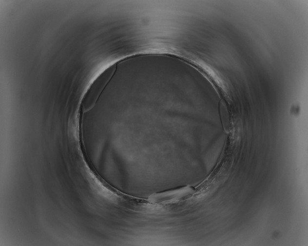 X0000099991468200806201438