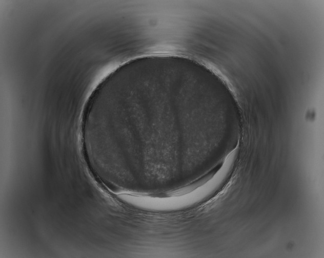 X0000099991469200806201438