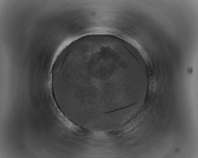 X0000099991472200806201438