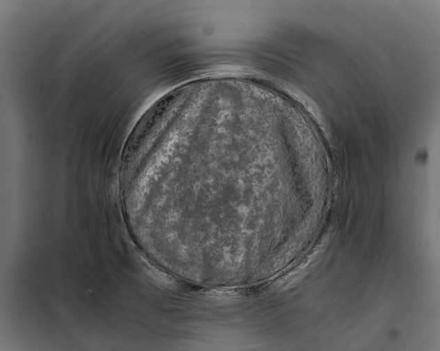 X0000099991473200806201438