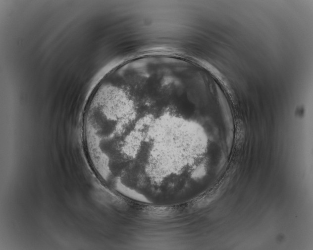 X0000099991474200806201437