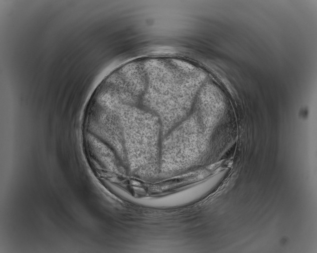 X0000099991475200806201437