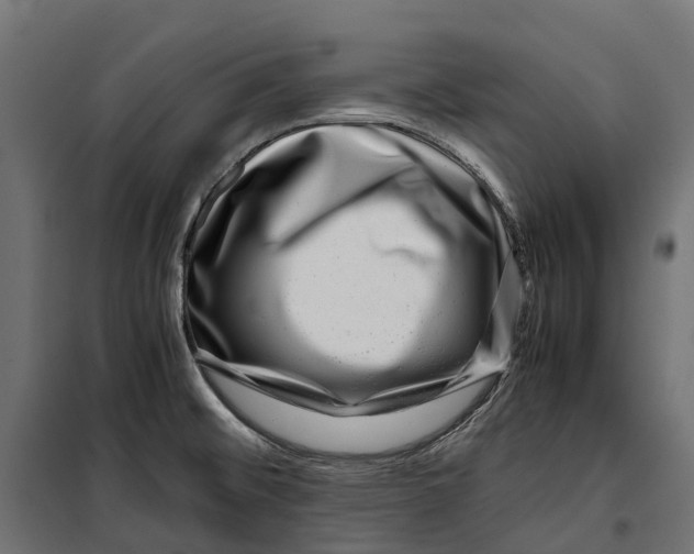 X0000099991476200806201437