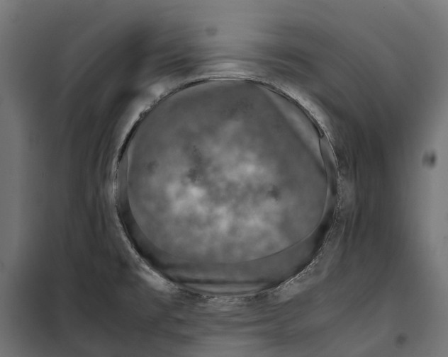 X0000099991477200806201437