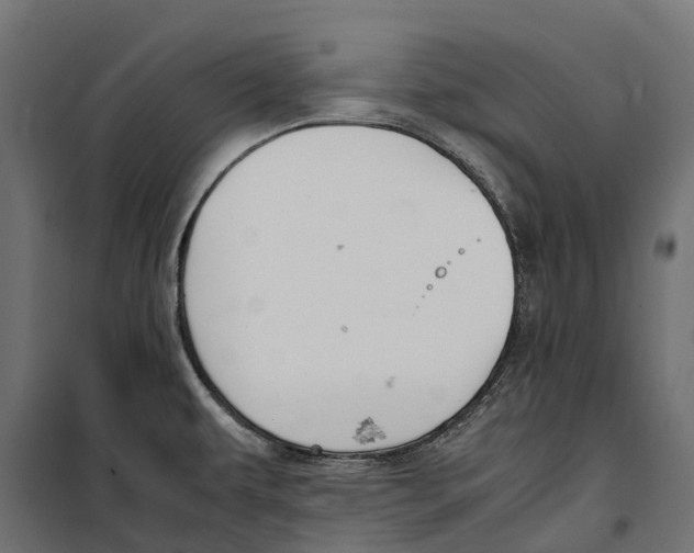 X0000099991479200806201437