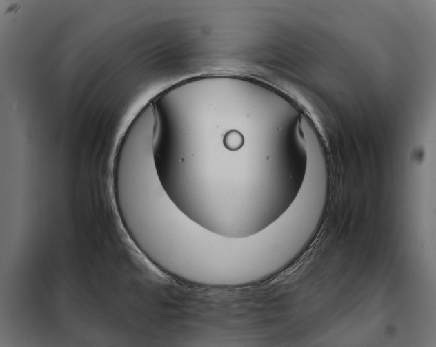 X0000099991480200806201437