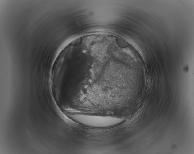 X0000099991482200806201437