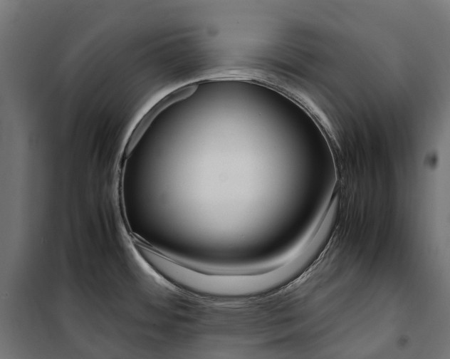 X0000099991484200806201437