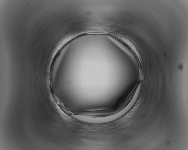 X0000099991485200806201437