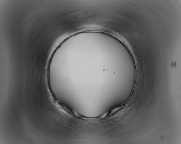 X0000099991488200806201437