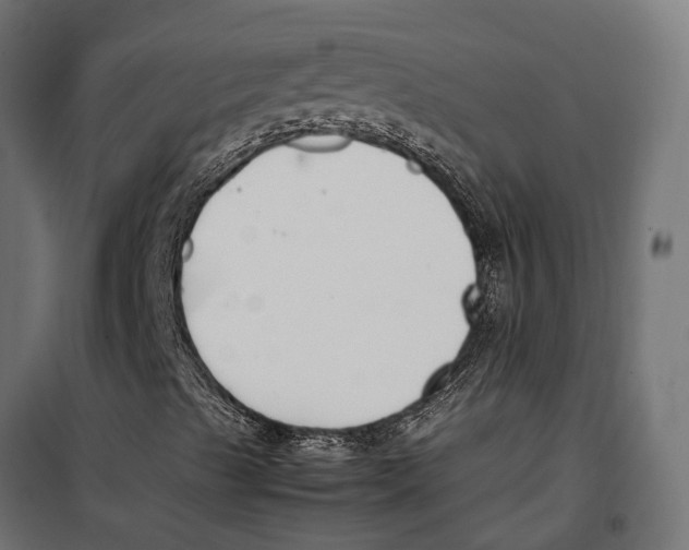 X0000099991489200806201436