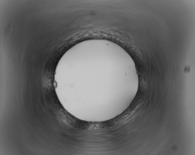 X0000099991490200806201436