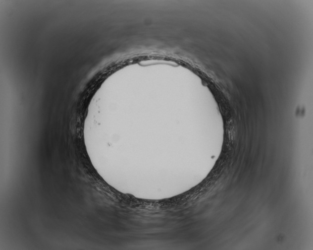 X0000099991495200806201437