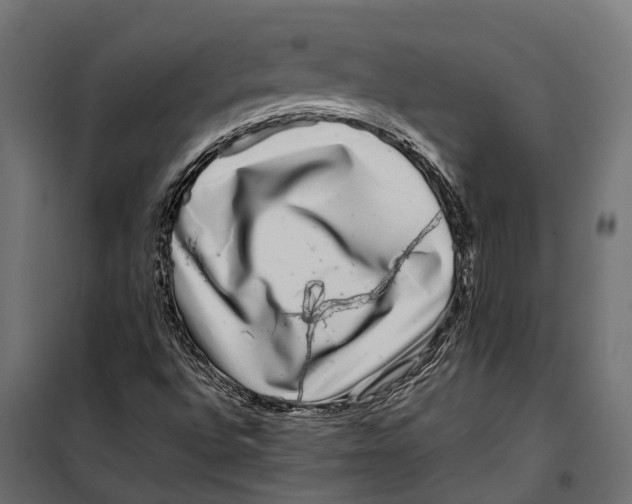 X0000099991496200806201437