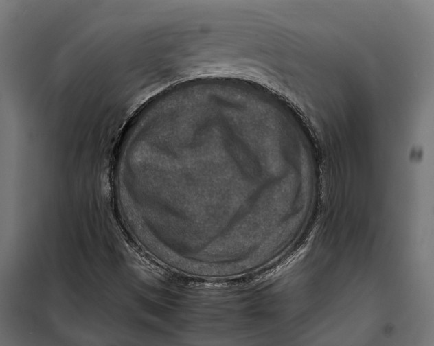 X0000099991497200806201437