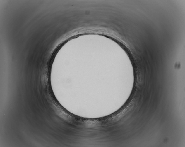 X0000099991498200806201437