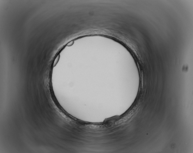 X0000099991500200806201437