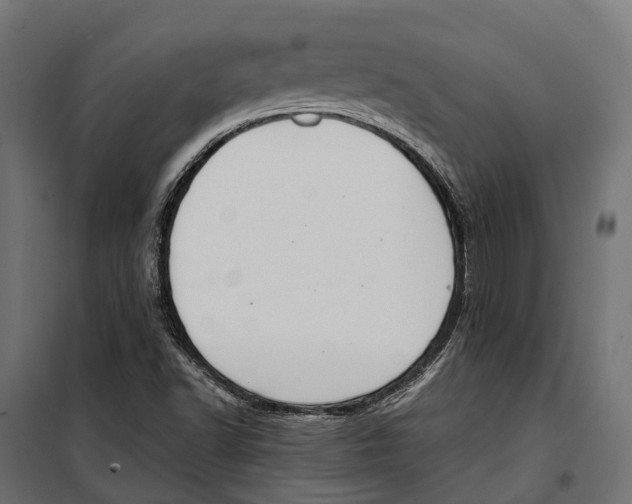 X0000099991502200806201437