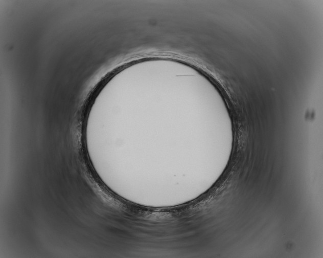 X0000099991503200806201437